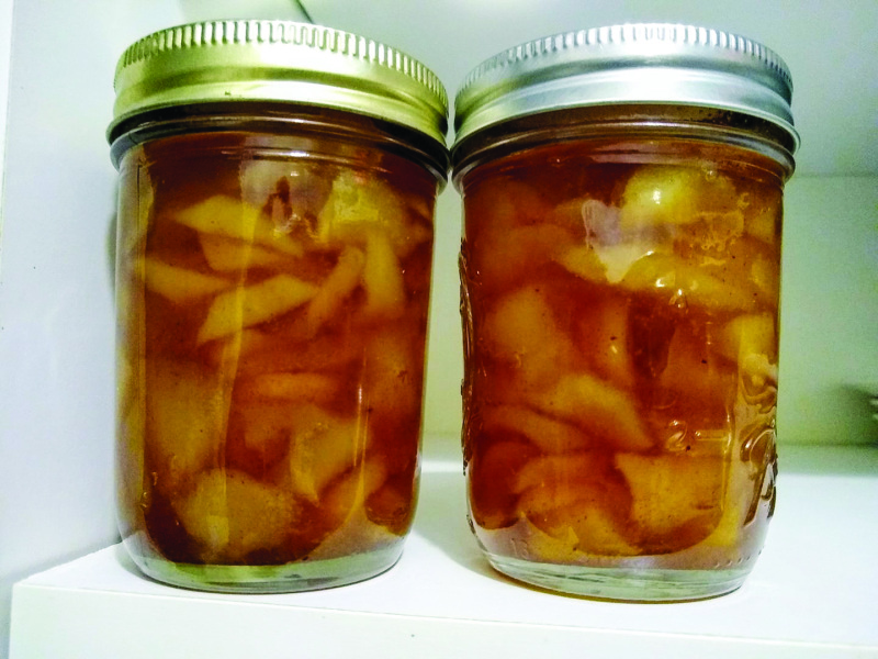Is it 1975 all over again?<BR>Canning lids shortage reminds extension agent of the 70s