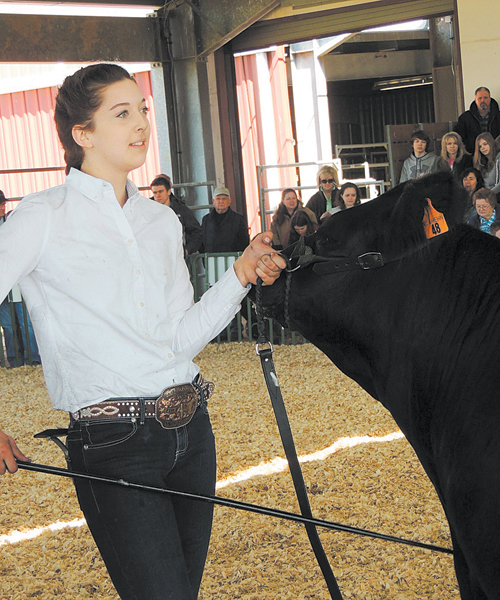 Locals compete in 4H Livestock Show and Sale