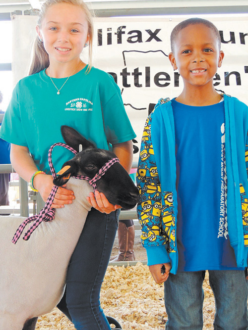 4H Livestock Show and Sale, pics
