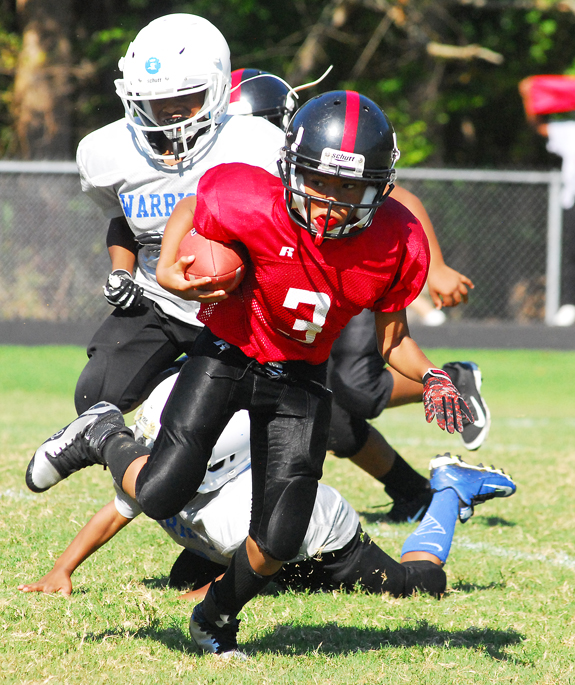 ROOKIE TEAM HIGHLIGHTS