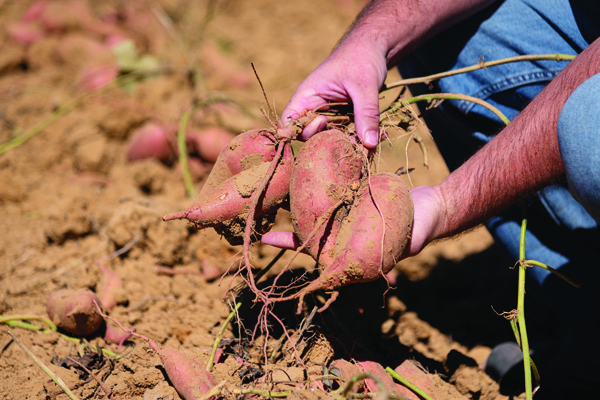 Seasonal workers in Nash increase, face barriers