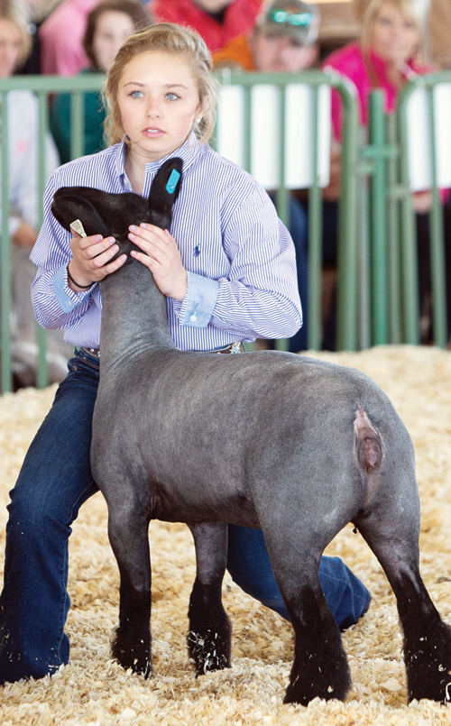  Livestock Show and Sale pics, 2