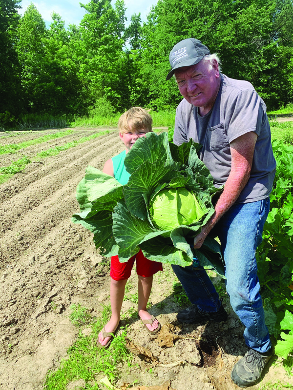 WHAT A CABBAGE!