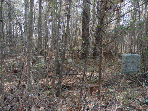 Organization cleans up Confederate graves