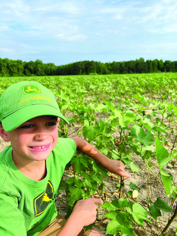 COTTON BLOOM 2022
