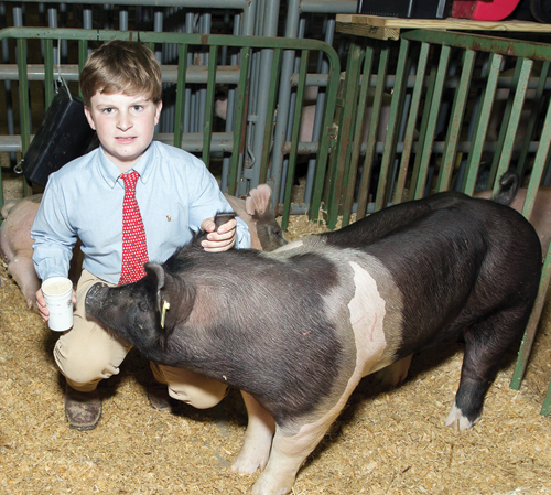 Livestock Show and Sale pics, 9