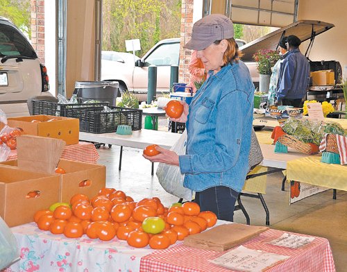 FARMERS MARKET OPENS