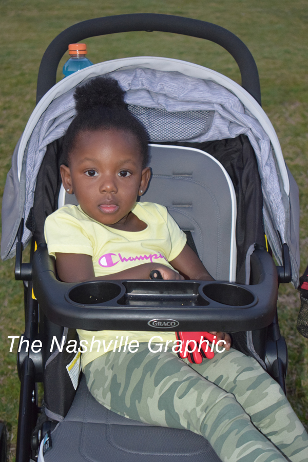 Music in the Park