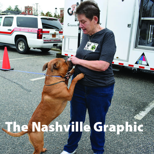 Animal Shelter holds public  adoption event