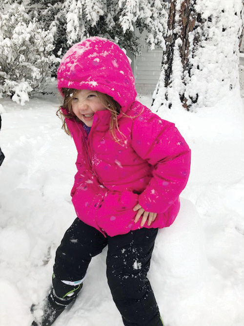 SNOW DAYS IN NASH COUNTY, 2