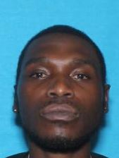 Remains found in Castalia identified