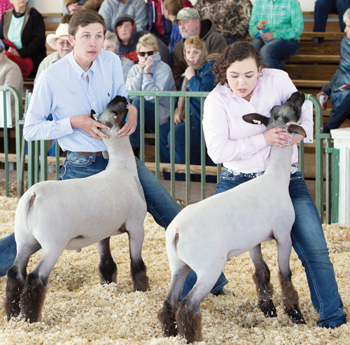  Livestock Show and Sale pics, 1