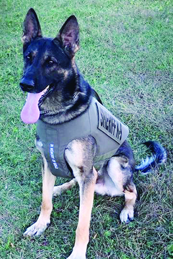 NASH K-9 RETIRES