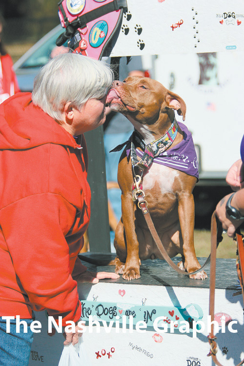 BARK FOR LIFE 2016
