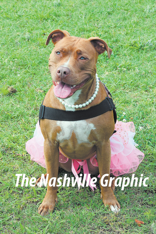 Local dog to be featured in calendar