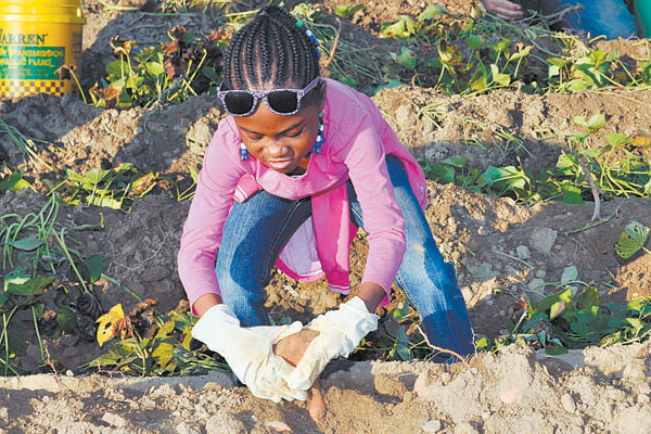Locals take part in annual Yam Jam