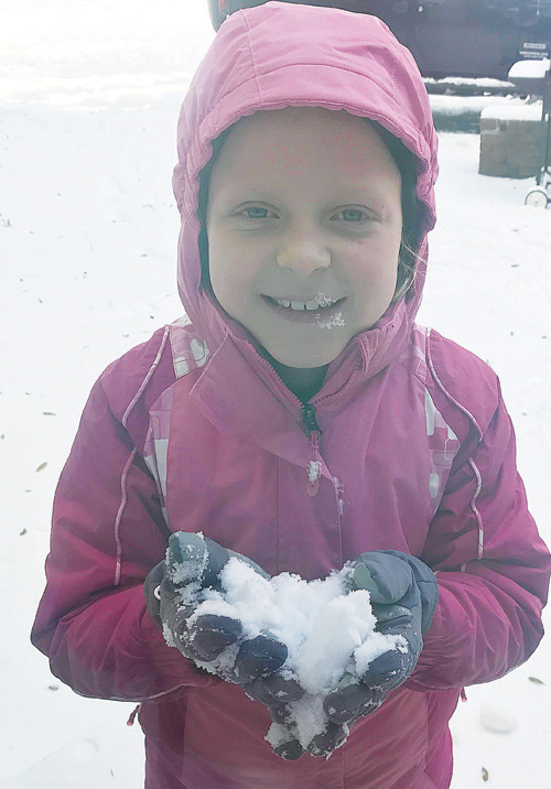 NASH COUNTY SNOW PHOTOS 2018, pics 2