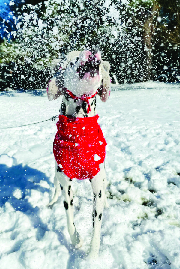 SNOW DAY, 2