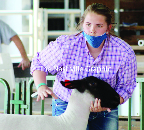 4-H LIVESTOCK SHOW & SALE, pics 2