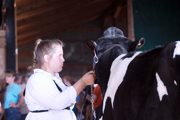 Local youth compete at Cattle Show, pics 2