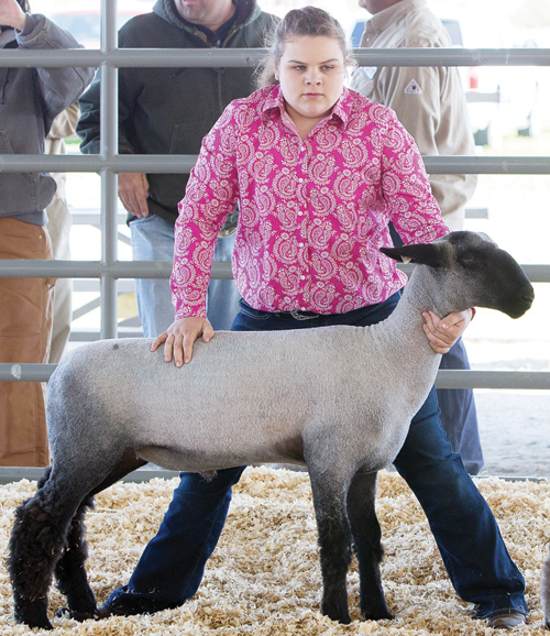  Livestock Show and Sale pics, 5