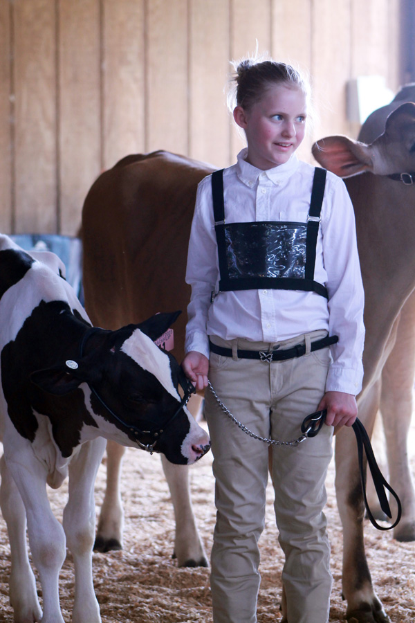 Local youth compete at Cattle Show, pics 1