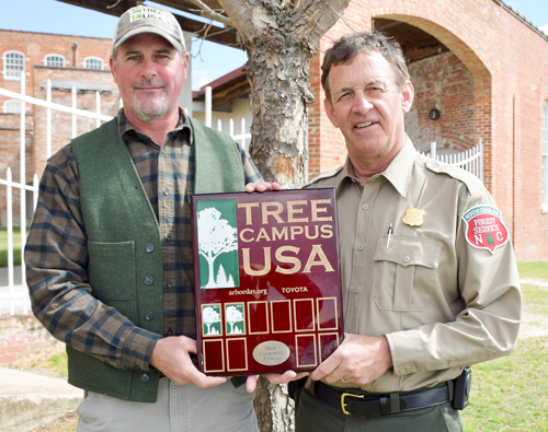 NCC honored with 2016 Tree Campus USA® Recognition