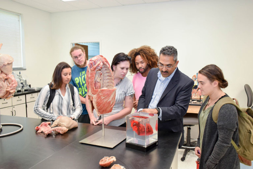NCC students study plastinated cadavers