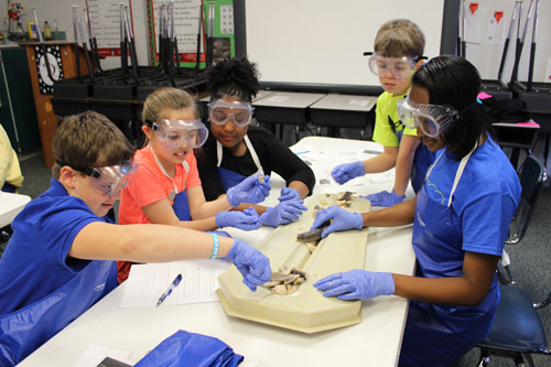 Local students hold STEM Day event