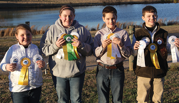 Livestock Judging Contest