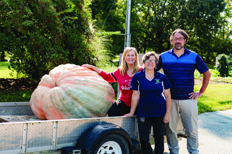 Grow a Giant Pumpkin!