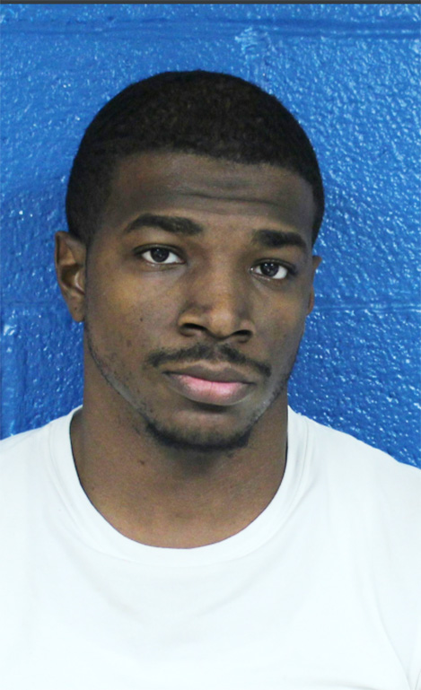 Traffic stop leads to drug bust