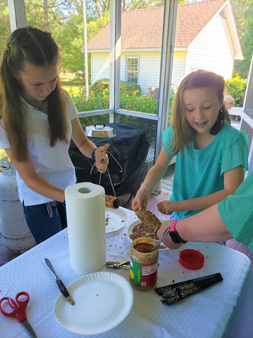 Birds, Blooms & Butterflies!