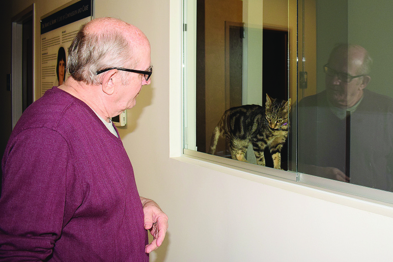 Nash County officially opens new animal shelter