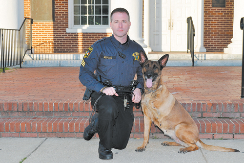 K-9 Sasha resumes duties after leg amputation