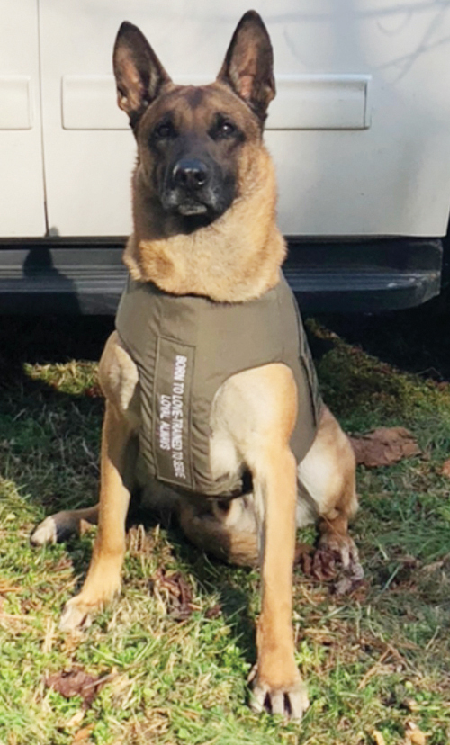 Nash K9s receive bullet proof, stab proof vests
