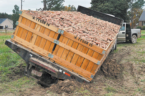 Yams and a muddy mess