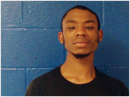 Traffic stop leads to drug arrest