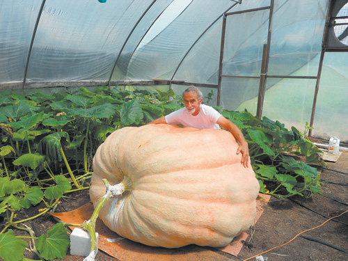 THE GREAT PUMPKIN