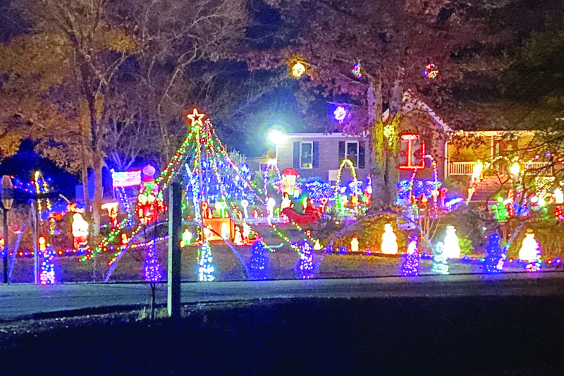 Christmas light show funds charity