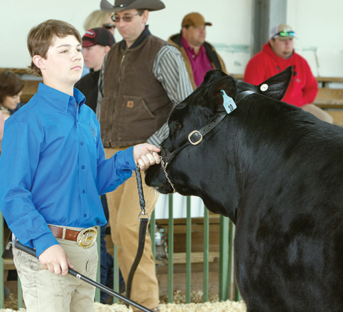  Livestock Show and Sale pics, 8