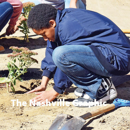 Partnership aids students with rain garden project
