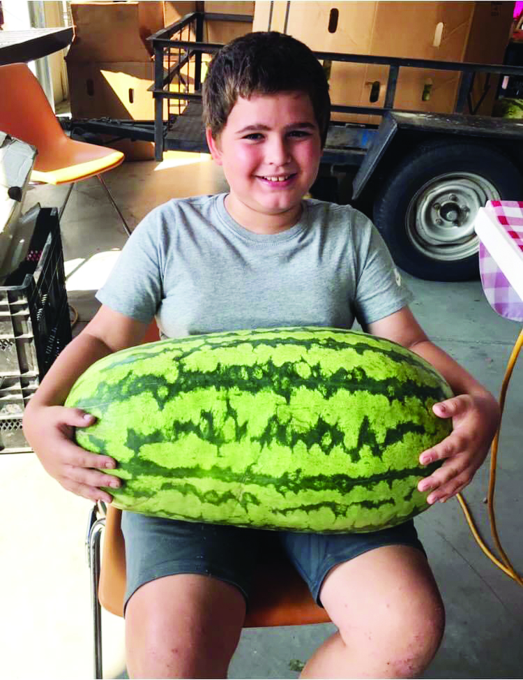 WATERMELON KINGS
