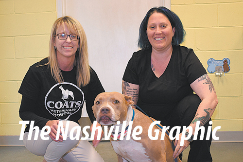 Local woman finds way to get free collars for rescues