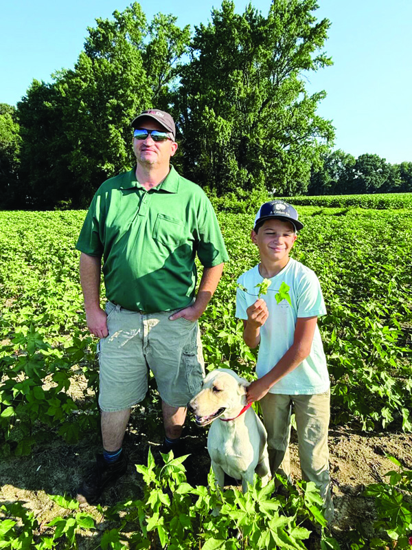 FIRST COTTON BLOOM 2025