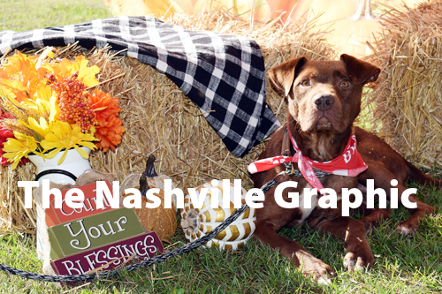 Bark for Life lands Isaac forever home