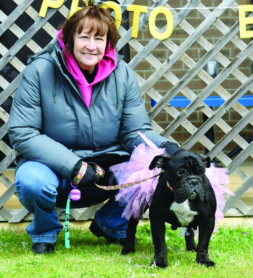 Free dog adoption events approved by county