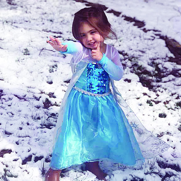 Nash County Snow Day, pics 6
