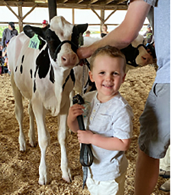 Local youth participate in dairy cattle shows