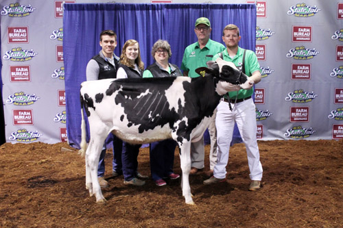 NC state fair dairy competition